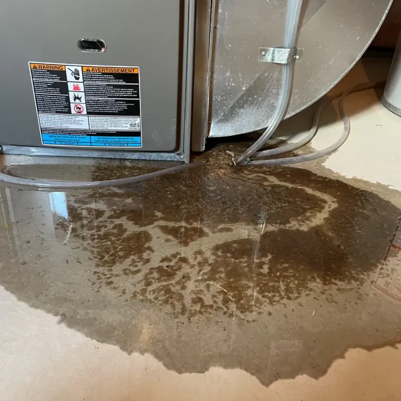 Appliance Leak Cleanup in Mead Valley, CA